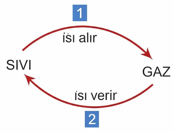 fen-bilimleri-test-55344