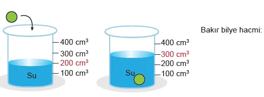 6-sinif-fen-2-donem-1-1-yazili-sorulari-coz–122